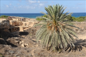 Tomb of the Kings